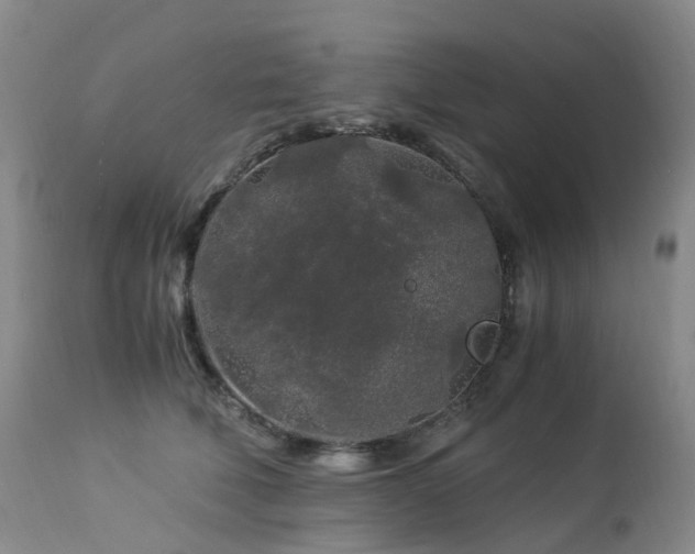 X0000112880610200908211453