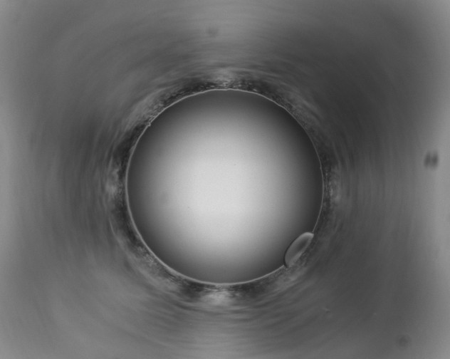 X0000112880611200908211453