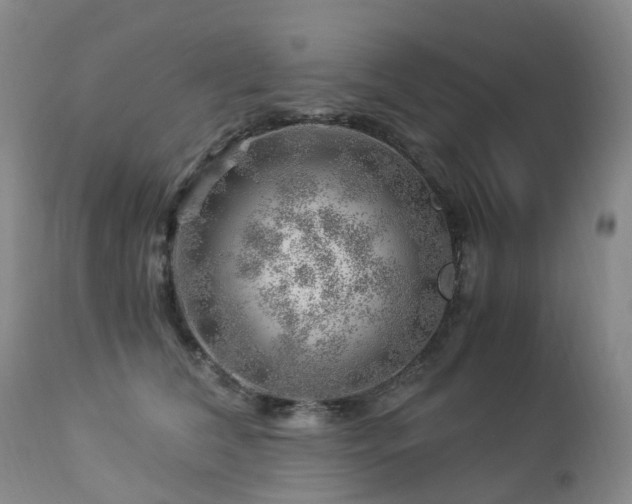 X0000112880612200908211453