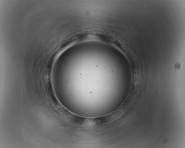 X0000112880613200908211453