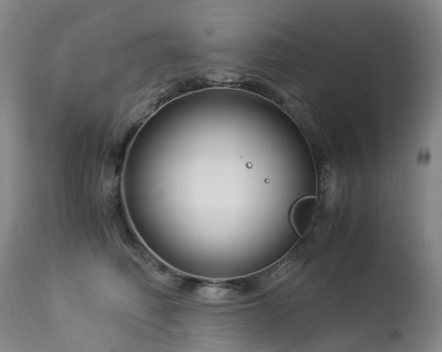 X0000112880614200908211453