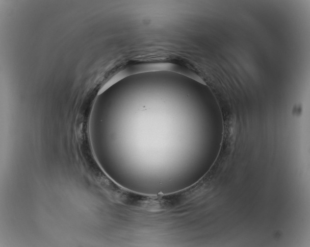 X0000112880615200908211453