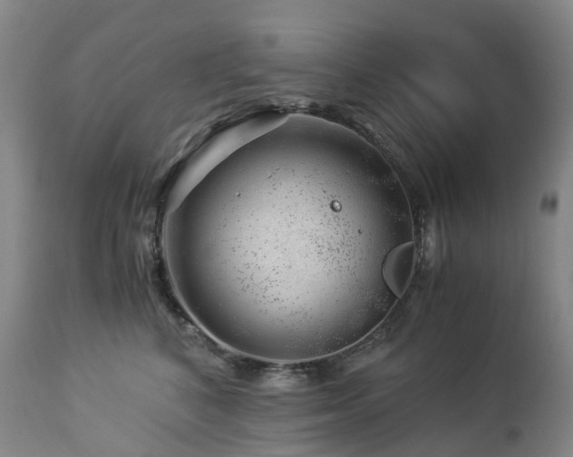 X0000112880616200908211453