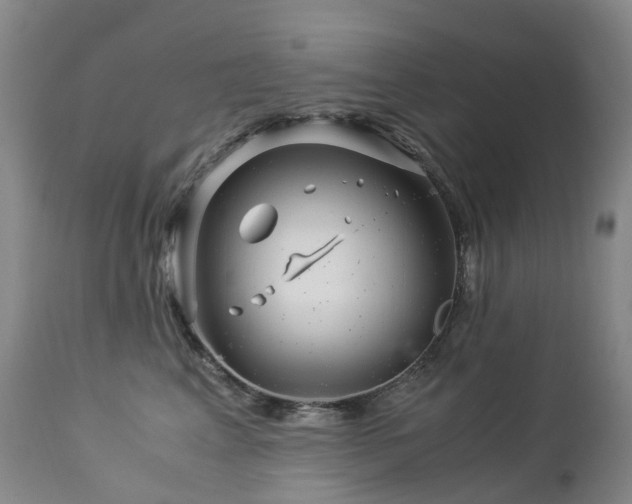 X0000112880617200908211452