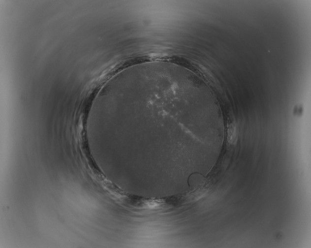 X0000112880618200908211452