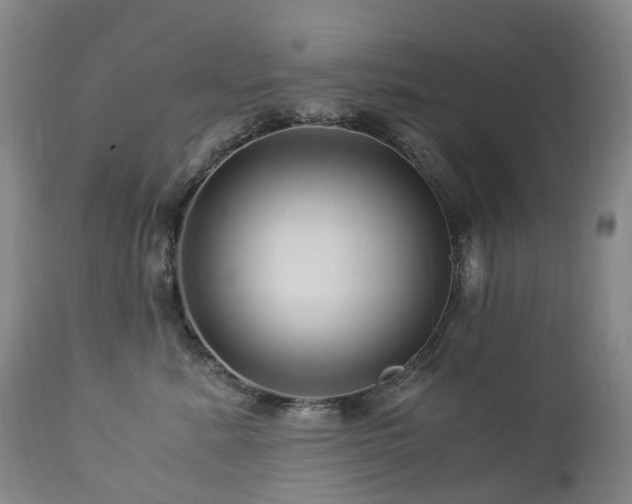 X0000112880619200908211452