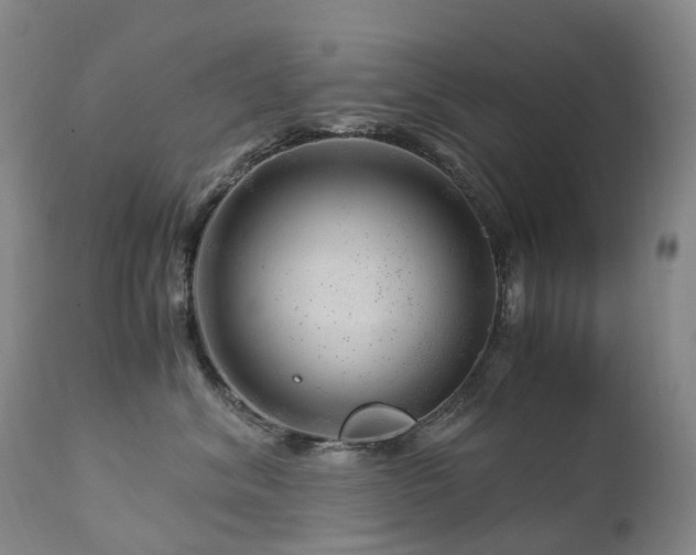 X0000112880620200908211452