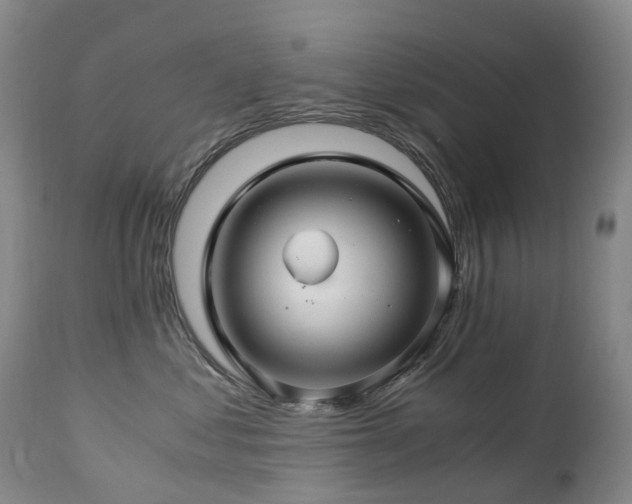 X0000112880621200908211452