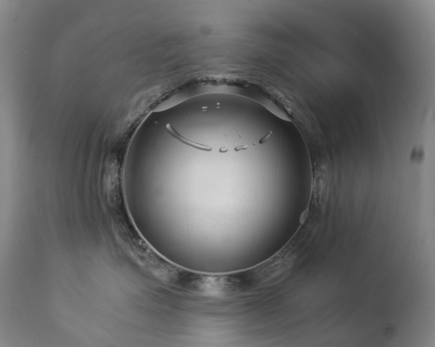 X0000112880623200908211452