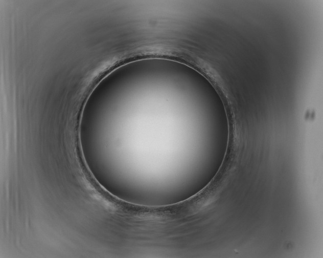 X0000112880625200908211452