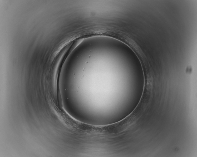 X0000112880626200908211452