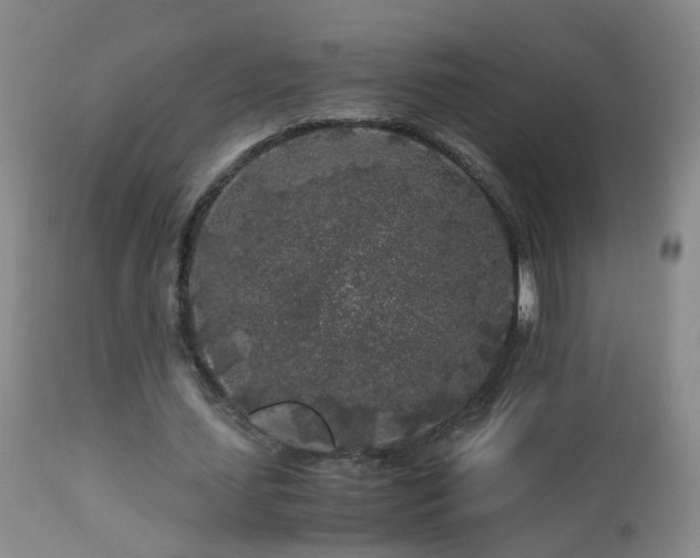 X0000112880627200908211452