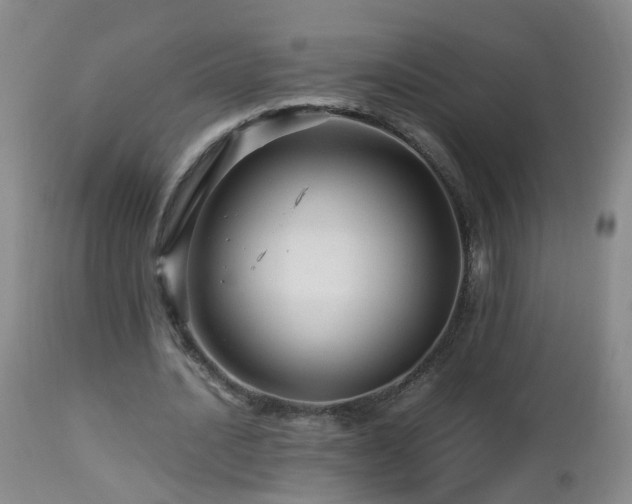 X0000112880628200908211452