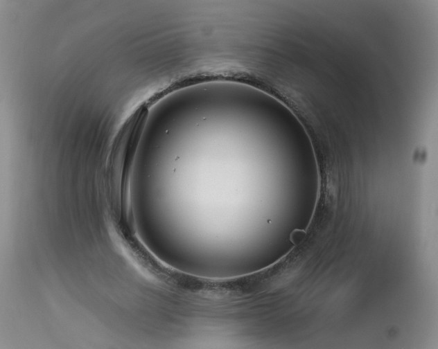 X0000112880630200908211452