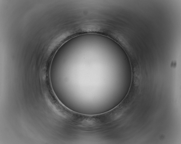 X0000112880631200908211452