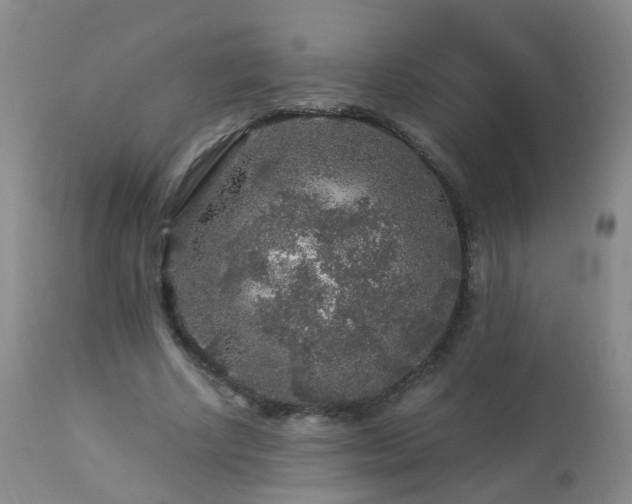 X0000112880634200908211452