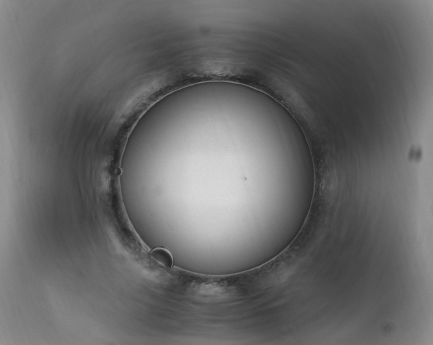 X0000112880635200908211452