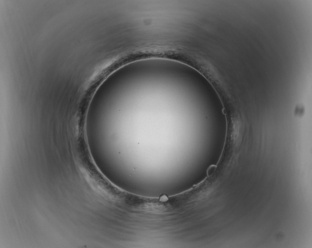 X0000112880636200908211452