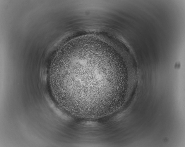 X0000112880637200908211452