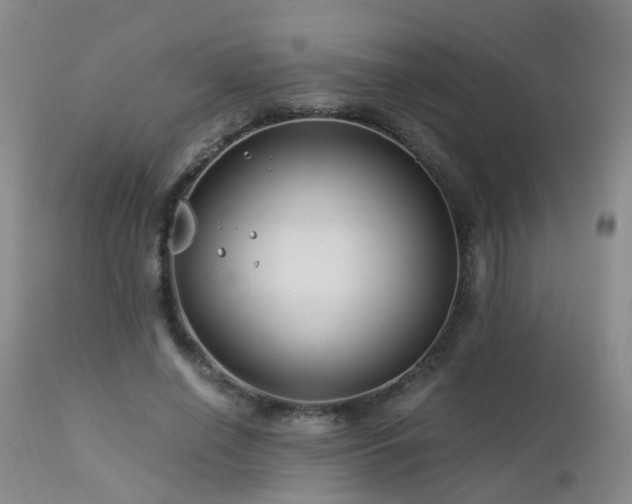 X0000112880638200908211452