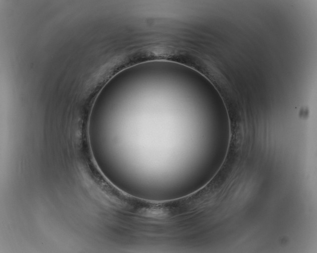 X0000112880639200908211452