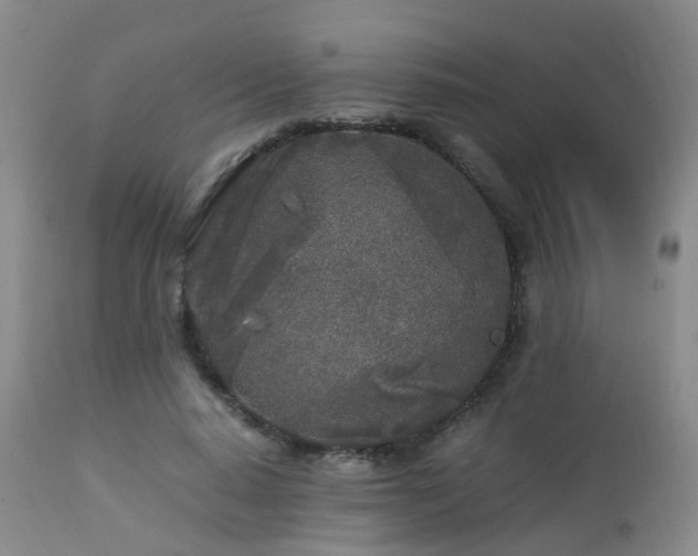 X0000112880640200908211452