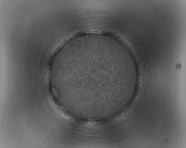 X0000112880641200908211452