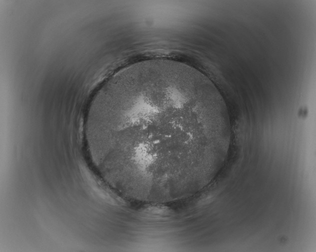 X0000112880642200908211452