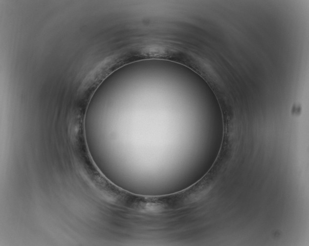 X0000112880645200908211452