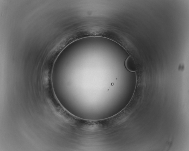 X0000112880646200908211452