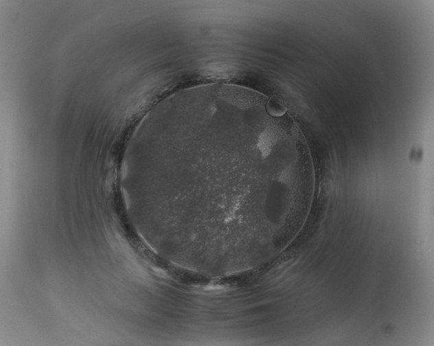 X0000112880647200908211452