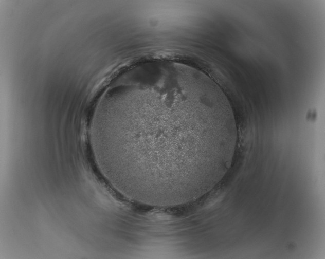 X0000112880648200908211452