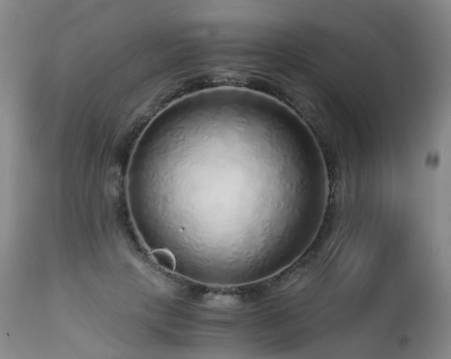 X0000112880649200908211452