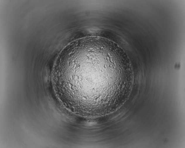 X0000112880651200908211452