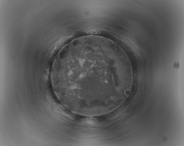 X0000112880652200908211452