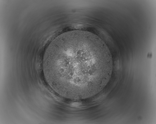 X0000112880653200908211452