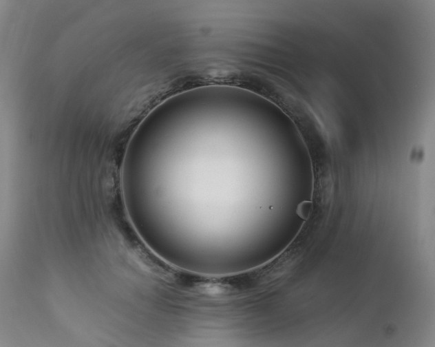 X0000112880654200908211452