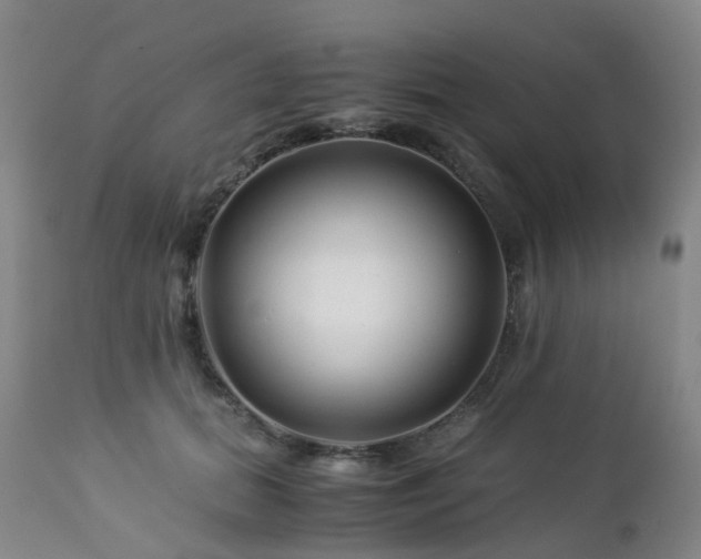 X0000112880655200908211452