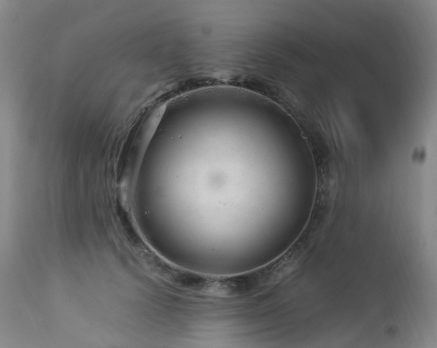 X0000112880656200908211452