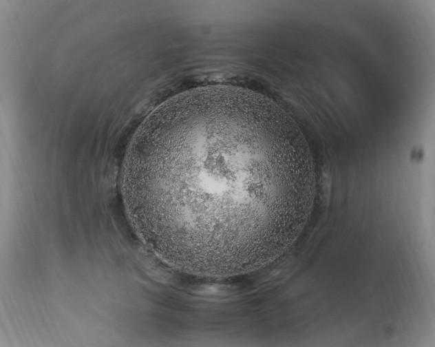 X0000112880657200908211452