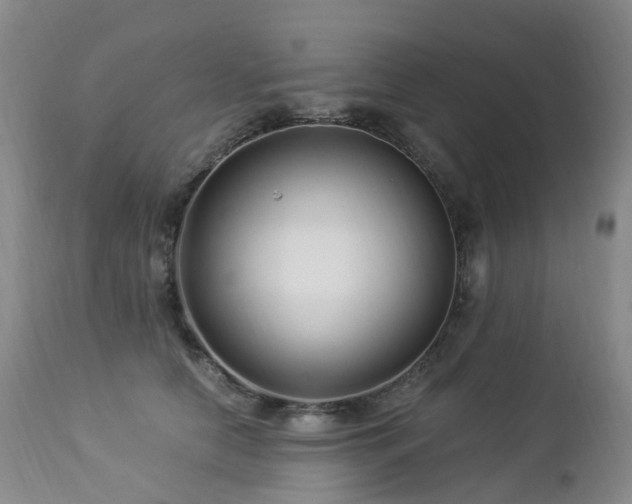 X0000112880658200908211452