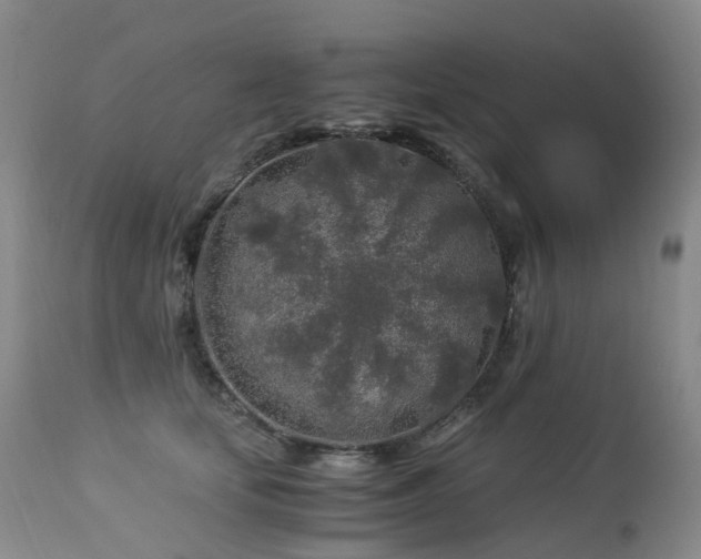 X0000112880659200908211452