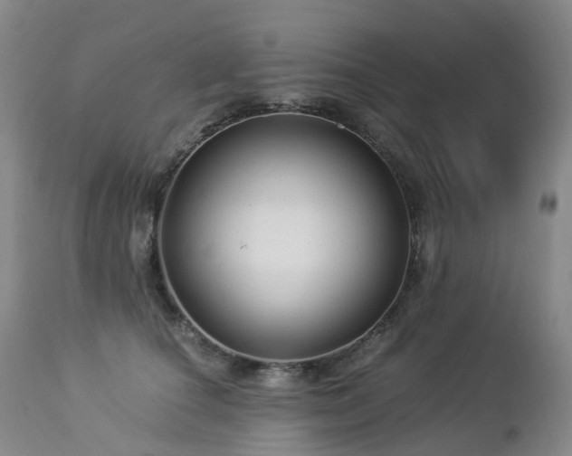 X0000112880660200908211452