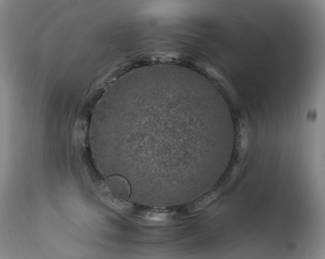 X0000112880661200908211452