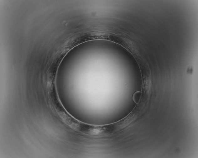 X0000112880662200908211452