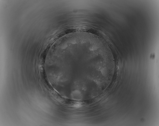 X0000112880663200908211452