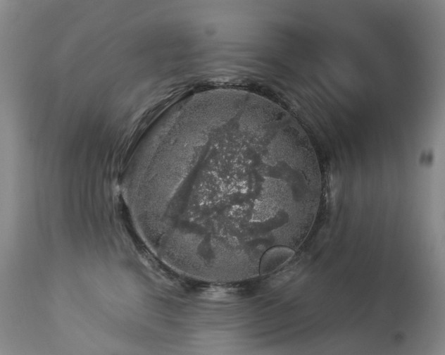 X0000112880664200908211452