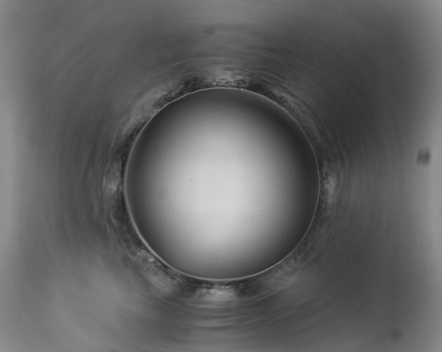 X0000112880665200908211452