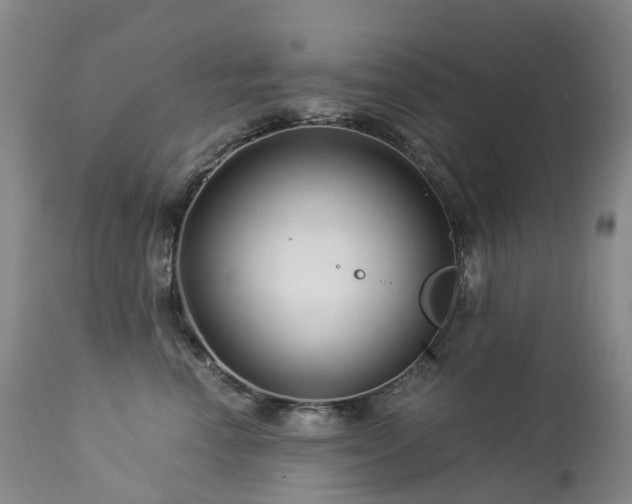 X0000112880666200908211452