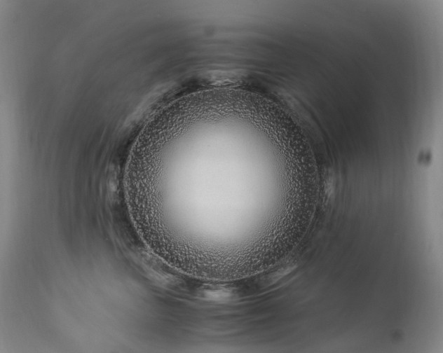 X0000112880667200908211452